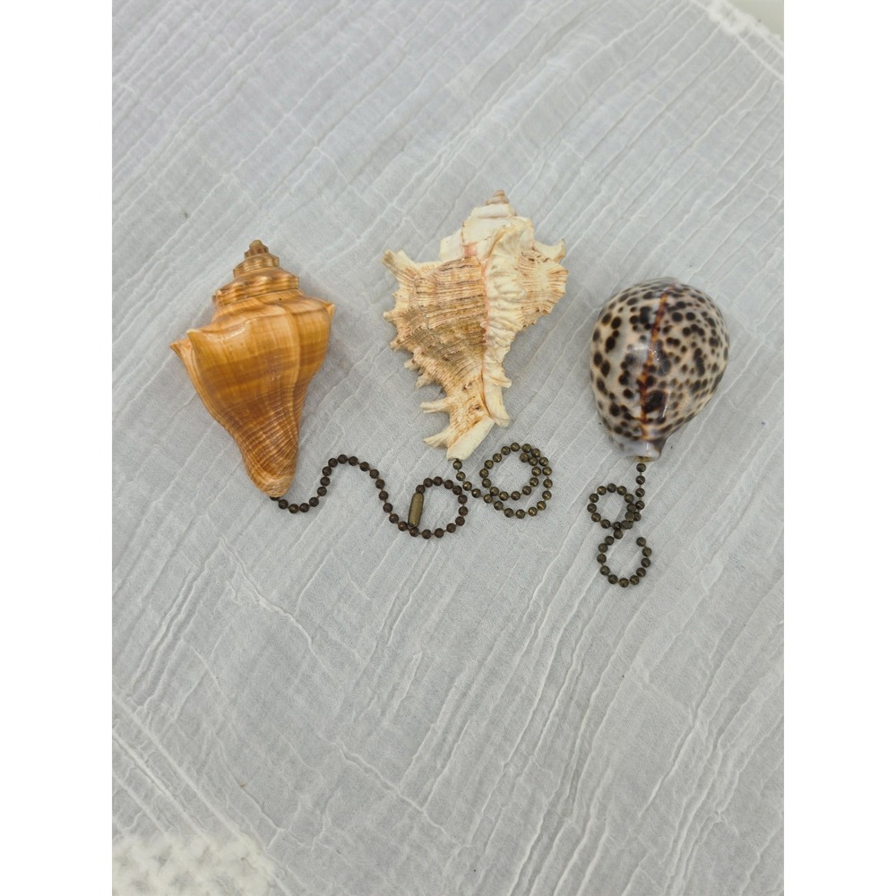 3pc Natural Seashell Ceiling Fan Pull Chain Lot Tiger Cowrie Murex Vole Conch
